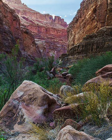 _7R45596