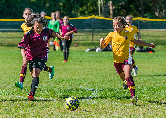 _DSC0268