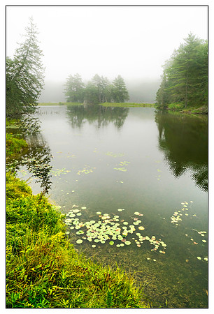 _DSC0104-Edit