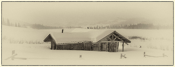 _MG_3479-Edit