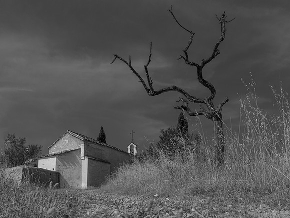 DSC08845