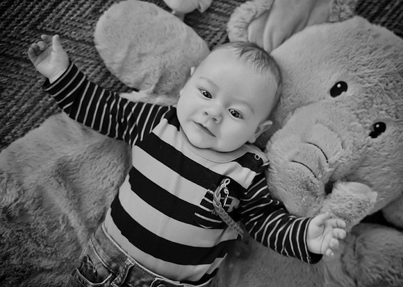 DSC08267-Edit