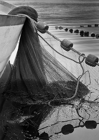 Seine Fishing