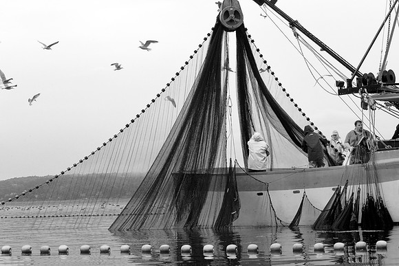 Seine Fishing