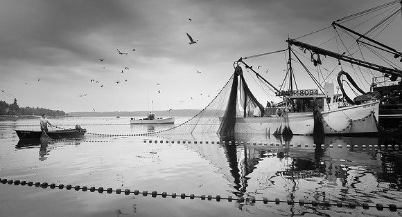 Seine Fishing