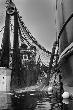 Seine Fishing