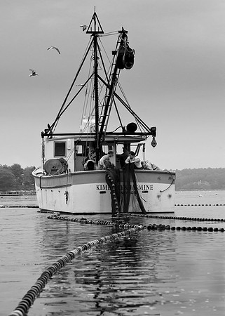 Seine Fishing