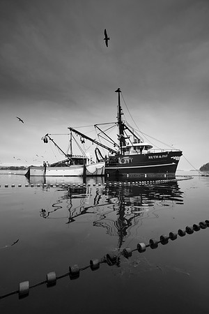 Seine Fishing