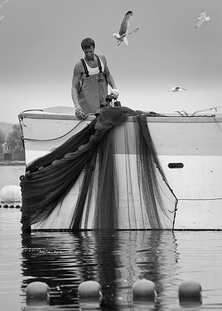 Seine Fishing