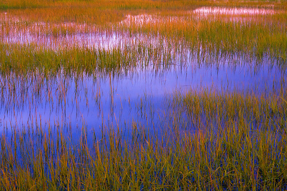 20080921-_MG_4866-Edit
