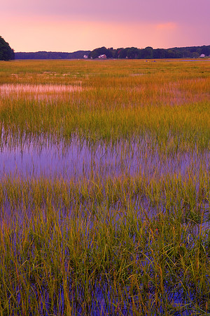 20080921-_MG_4870-Edit