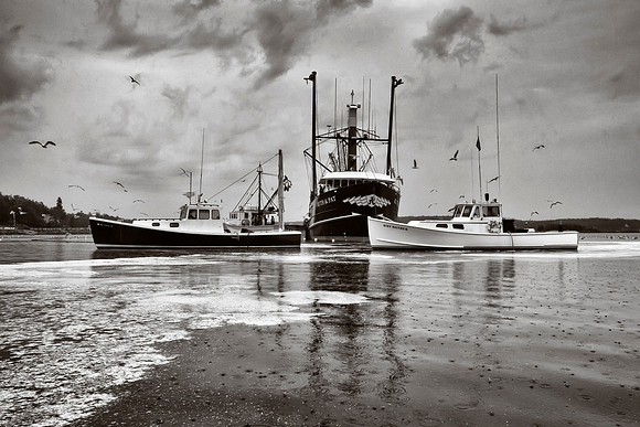 Purse Seining 6