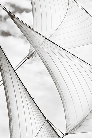 To catch the wind