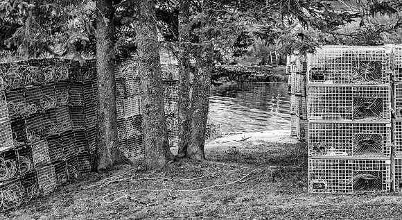 DSC07159-Edit