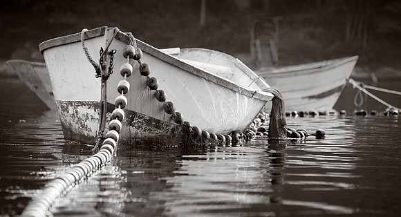 Purse Seining 1