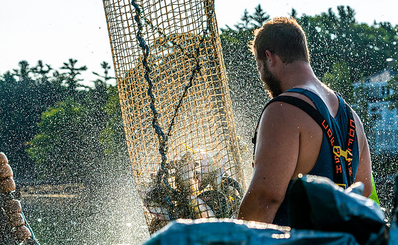 _DSC1841
