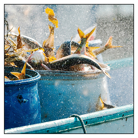 _DSC1998-Edit-Edit