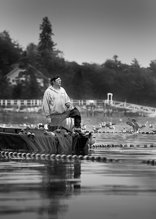 Seine Fishing