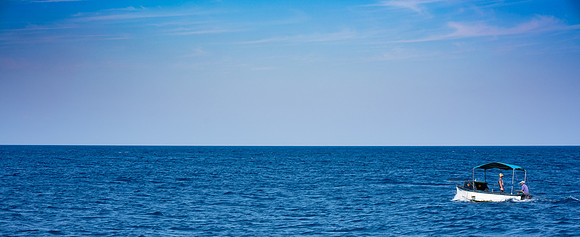 _DSC8218