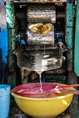 _DSC9683