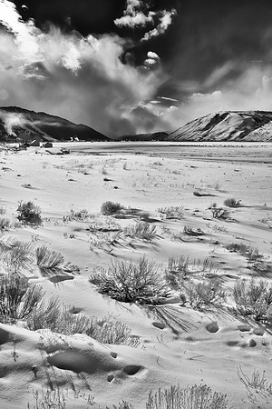 Jackson Hole