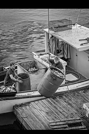 _DSC0017-Edit-NDCrop