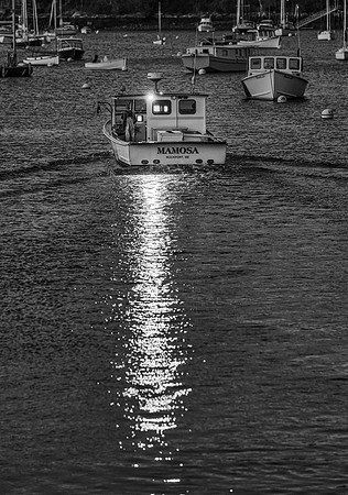 _DSC0123-Edit