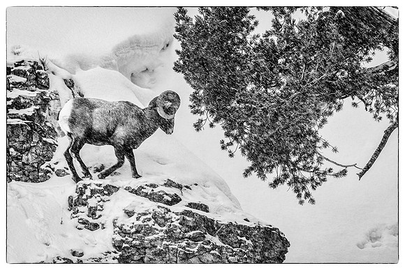 _DSC8077-Edit