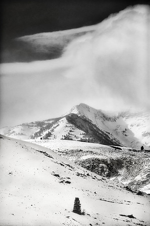 Jackson Hole