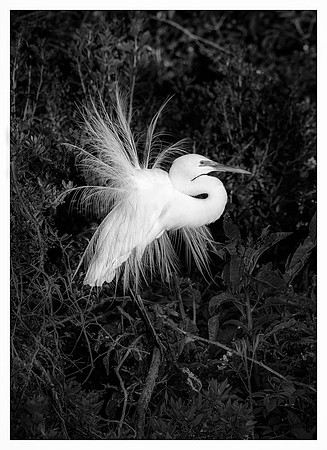 _DSC0048-Edit-Edit
