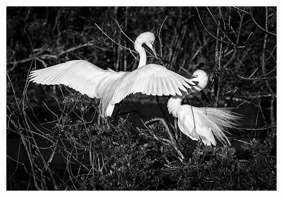 _DSC0098-Edit-Edit
