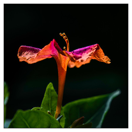 _DSC8634-Edit