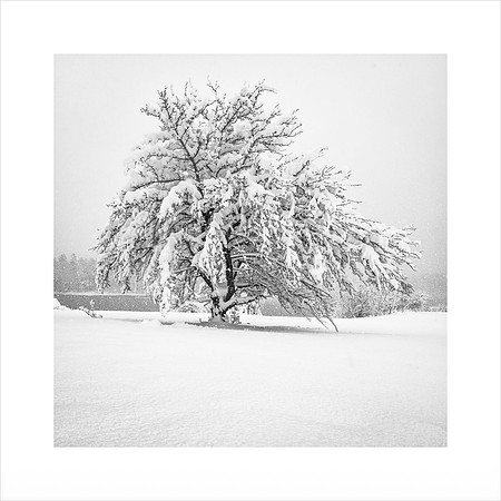 _DSC8790-Edit-Edit