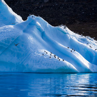 Greenland aboard Arctic Earth 2024