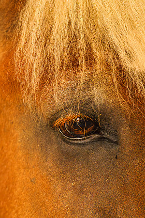 _7R44879-Enhanced-NR