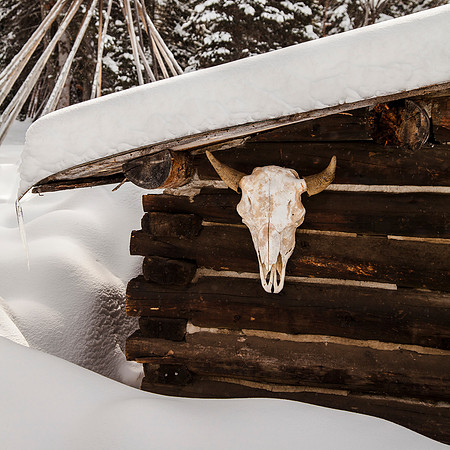 Jackson Hole