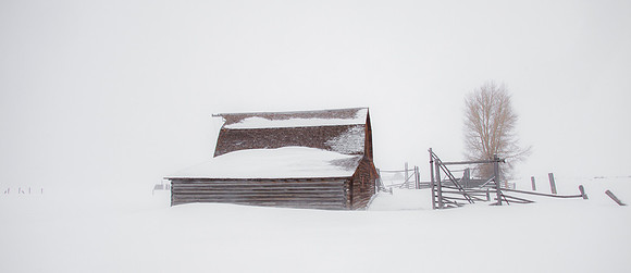 Jackson Hole