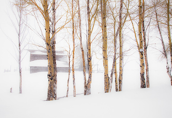 Jackson Hole