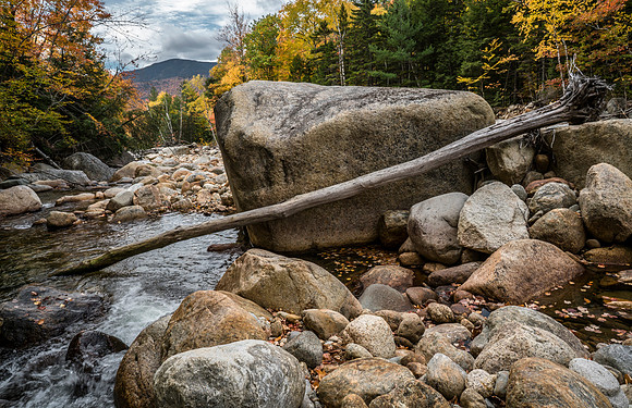 Dry River Trail - White Mountain National Forest - DSC01224