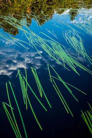 DSC07041