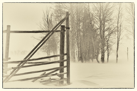 _MG_3712-Edit