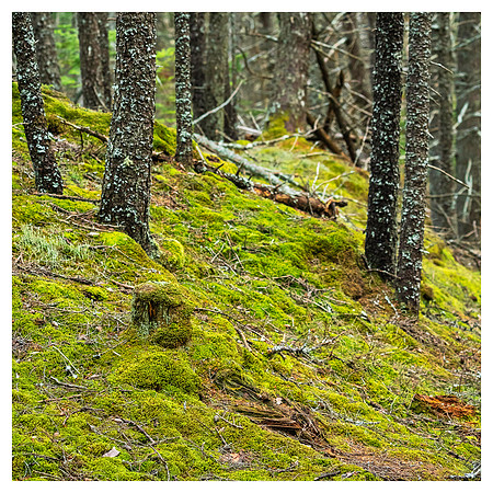 Hendricks Head_DSC0579-Edit