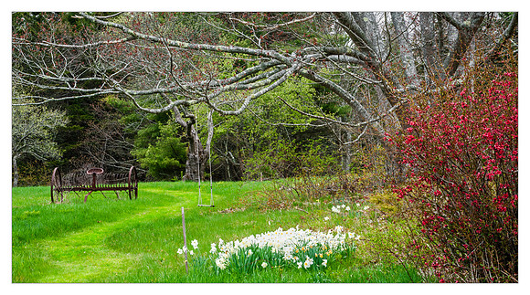 _DSC1856-Edit