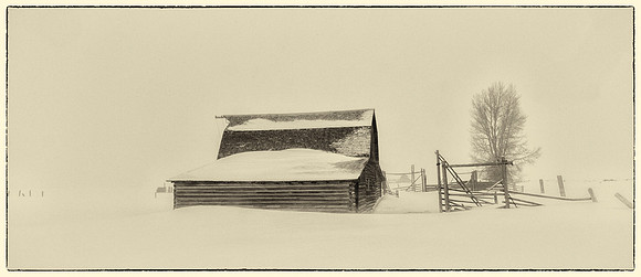 _MG_3684-Edit