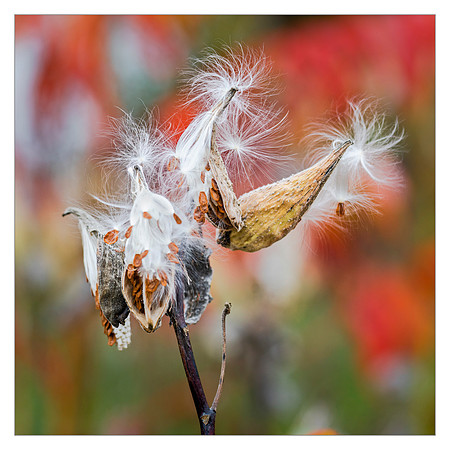_DSC4991-Edit