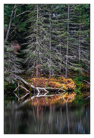 _DSC4753-Edit