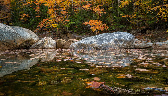 Dry River Trail - White Mountain National Forest - DSC01184