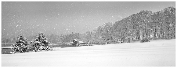 Oak Point Farm BRLT DSC8755-Edit-Edit