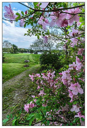 _DSC2336-Edit