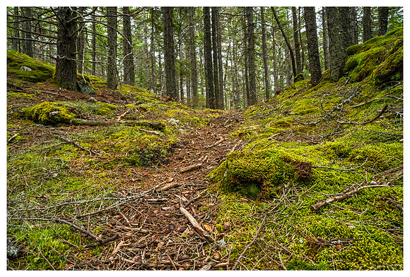 Hendricks Head _DSC0524-Edit